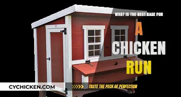 Chicken Run Base: Choosing the Right Foundation