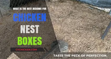 Chicken Nest Bedding: Choosing the Best Option