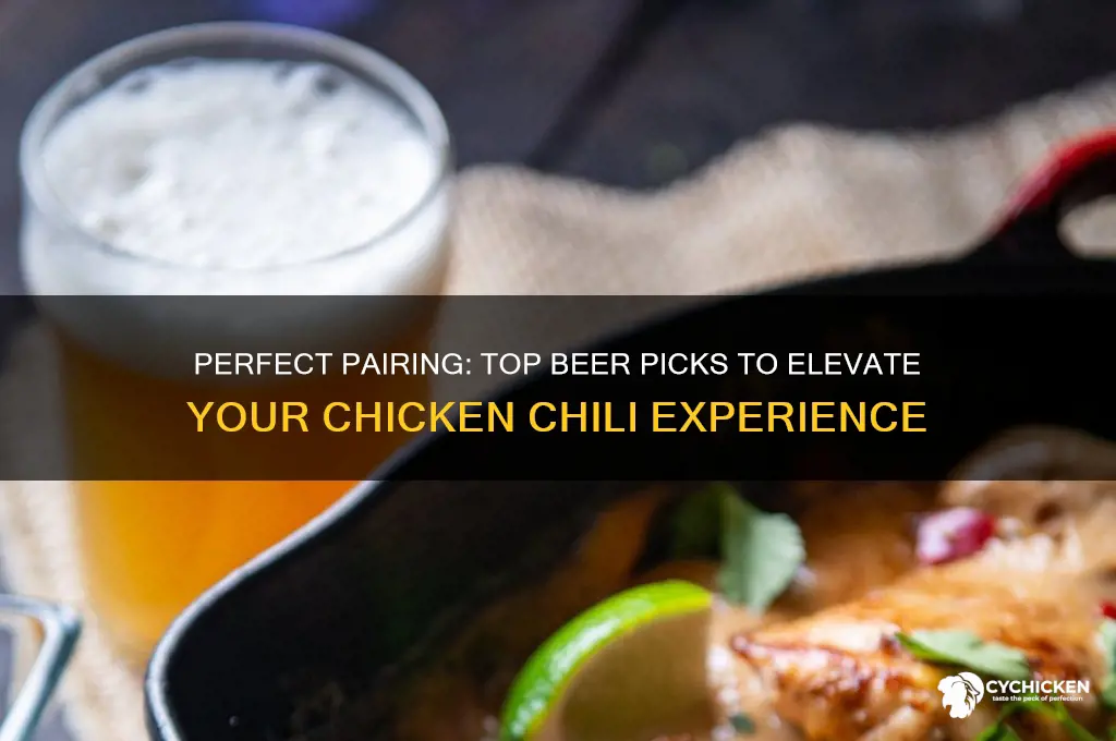what is the best beer for chicken chili
