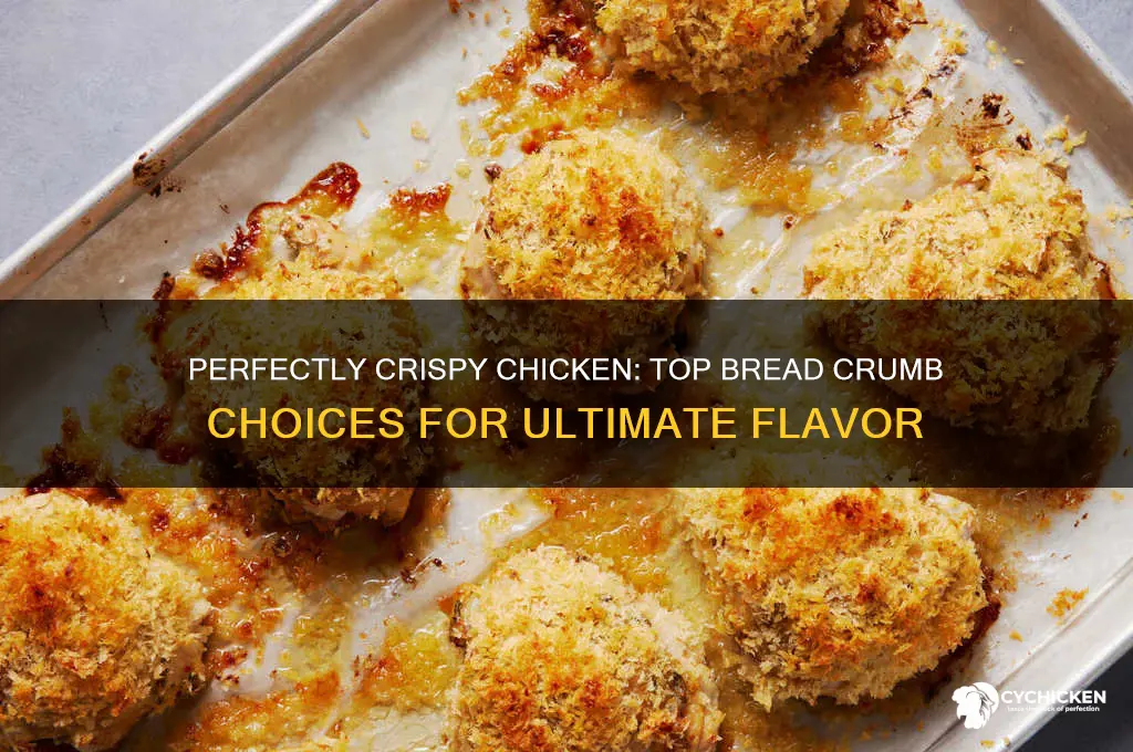 what is the best bread crumbs for chicken