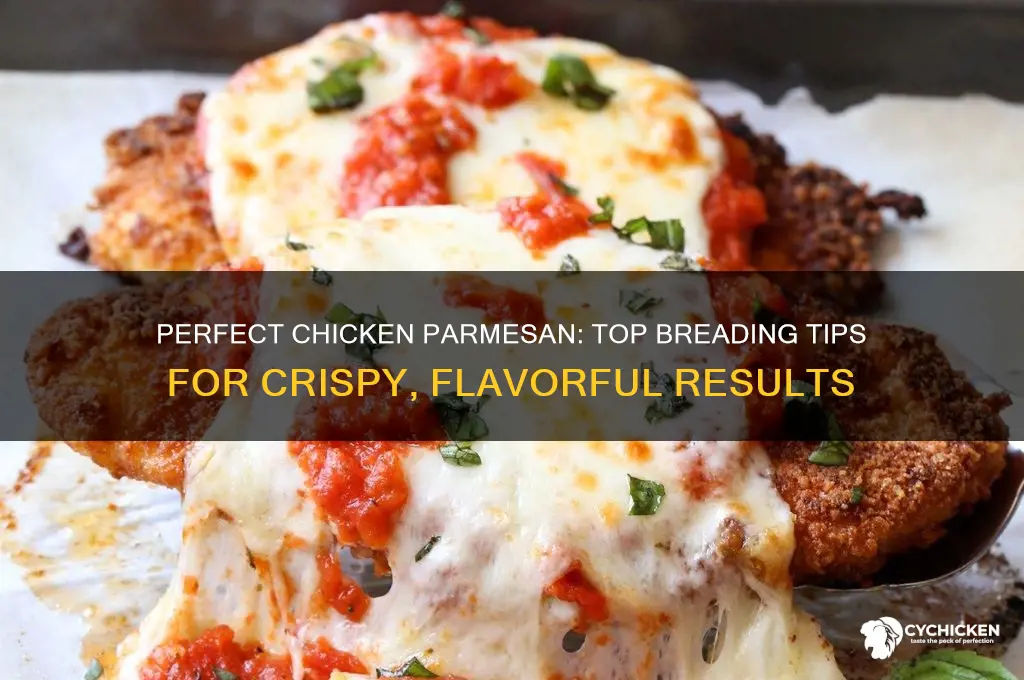 what is the best breading for chicken parmesan