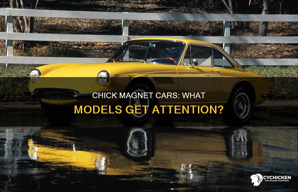 what is the best car to pick up chicks
