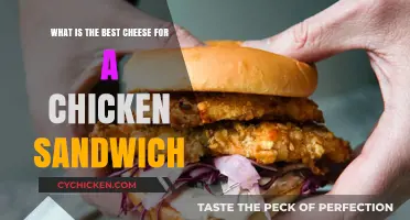 Perfect Chicken Sandwich: Top Cheese Choices for Ultimate Flavor