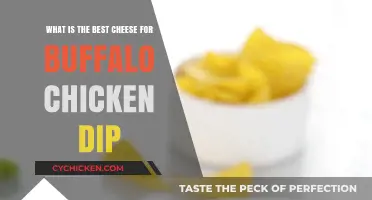 Cheese Options for the Ultimate Buffalo Chicken Dip