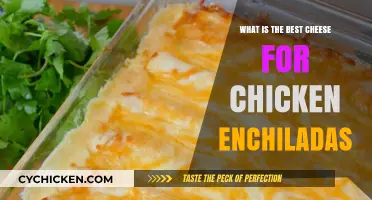Perfect Cheese Pairings for Chicken Enchiladas: Top Melty Choices