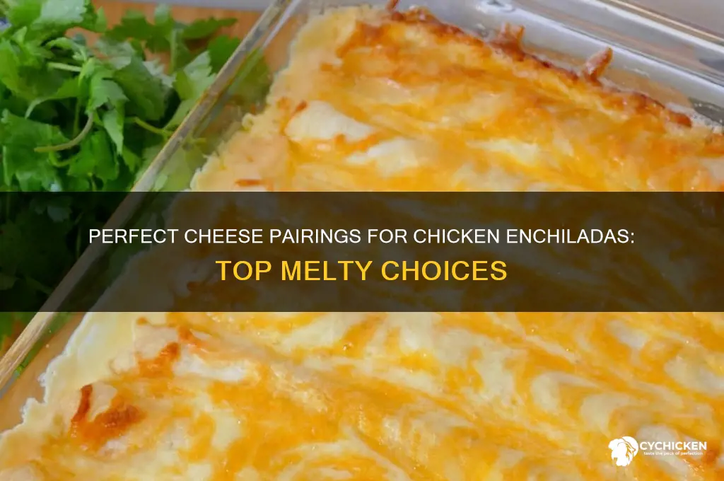 what is the best cheese for chicken enchiladas