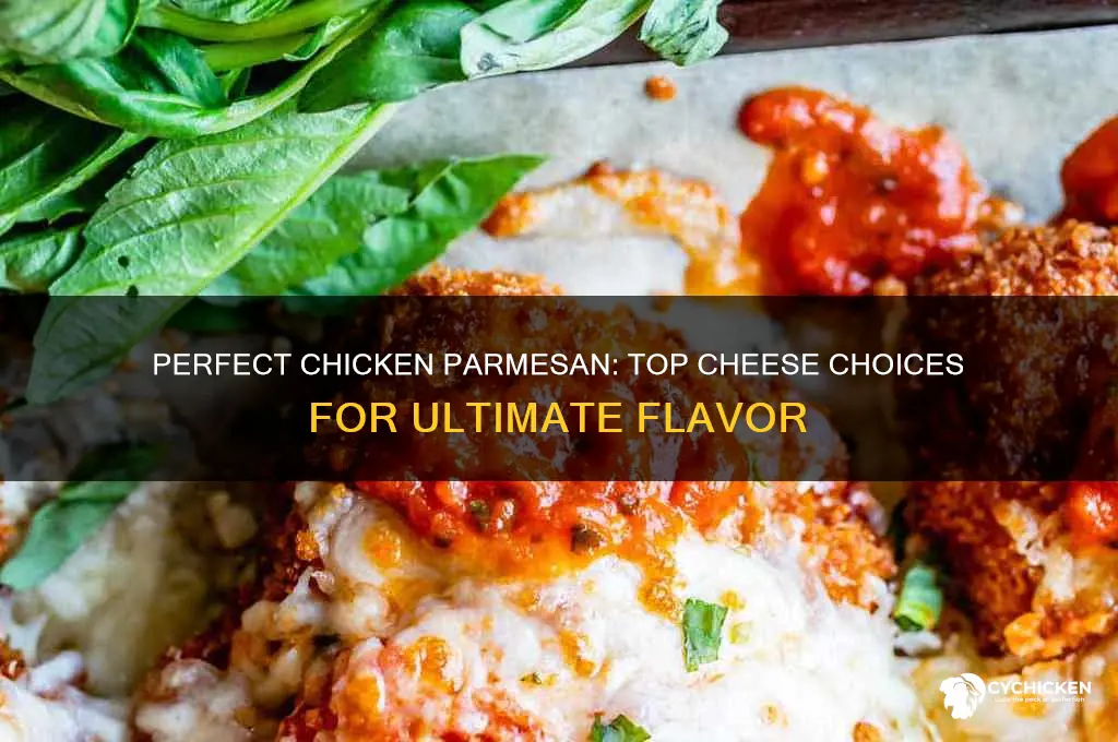 what is the best cheese for chicken parmesan