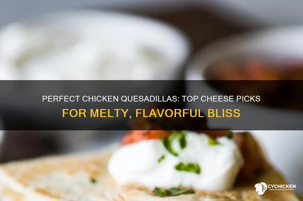 what is the best cheese for chicken quesadillas