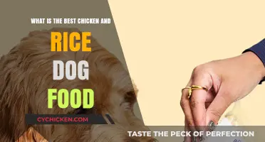 Chicken & Rice: Best Dog Food?