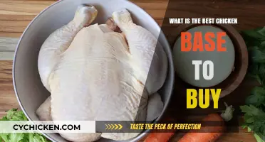 Top Chicken Base Options: A Buyer's Guide to the Best Choices