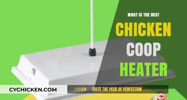 Cozy Quarters: Choosing the Perfect Heater for Your Chicken Coop