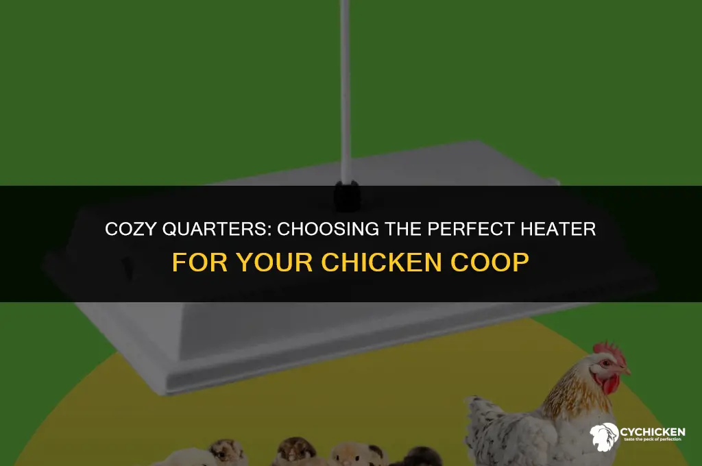 what is the best chicken coop heater