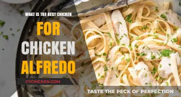 Perfect Chicken Alfredo: Top Chicken Cuts for Creamy Perfection
