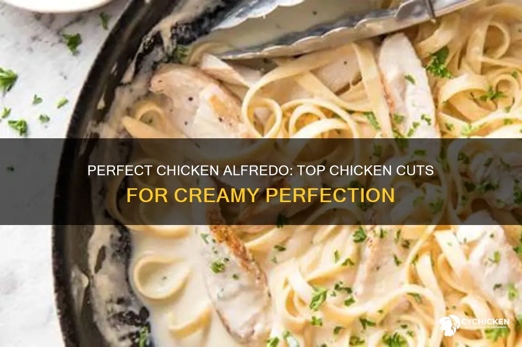 what is the best chicken for chicken alfredo