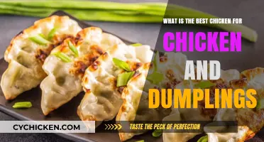 Chicken and Dumplings: Choosing the Best Bird