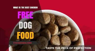 Top Chicken-Free Dog Food Options for Healthy Canine Nutrition