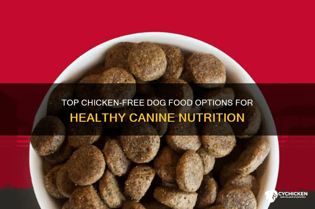 what is the best chicken free dog food