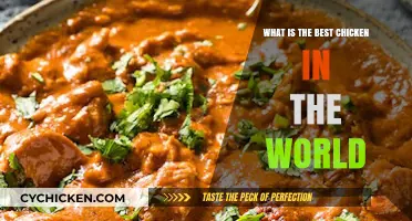 Discovering the World's Most Delicious Chicken: A Culinary Quest
