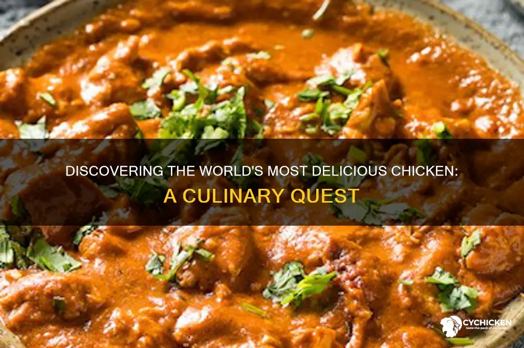 what is the best chicken in the world