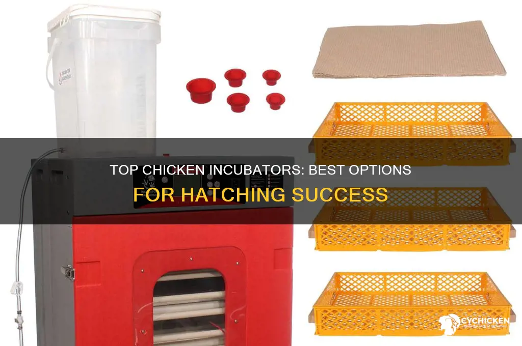 what is the best chicken incubator to buy