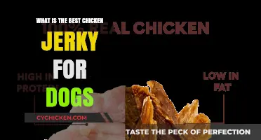 Top Chicken Jerky Treats for Dogs: Healthy and Delicious Options