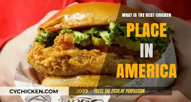 America's Top Chicken Spot: A Finger-Licking Quest for the Best