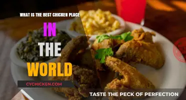 Best Chicken Places Globally: Top Spots