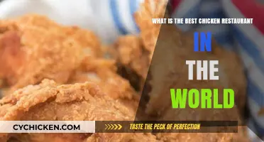 Chicken Restaurants: The Best Places to Visit Globally