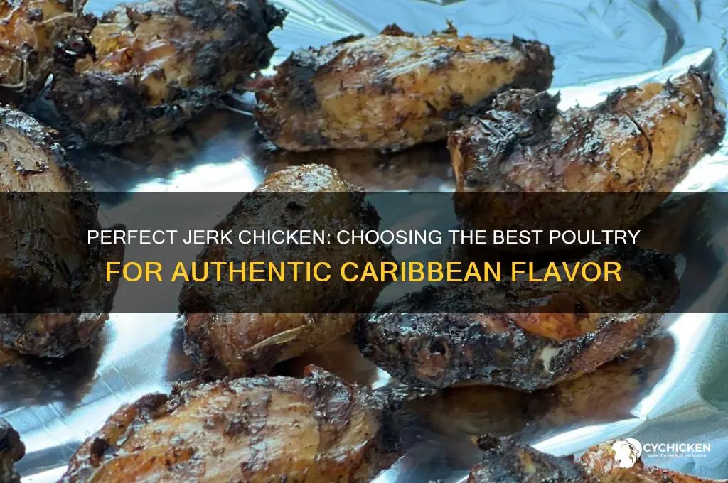 what is the best chicken to buy for jerk