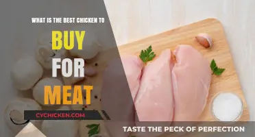 Choosing the Best Chicken for Meat: A Buyer's Guide