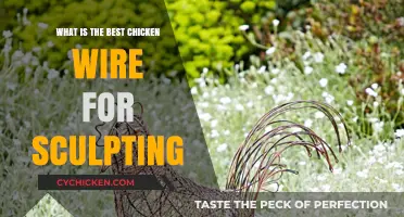 Top Chicken Wire Picks for Stunning Sculptural Creations