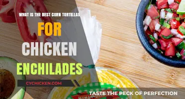 Tortillas for Chicken Enchiladas: Find the Perfect Wrap