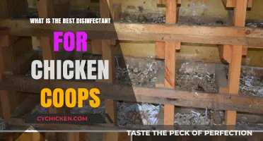 Effective Disinfectants for Chicken Coops: A Comprehensive Guide