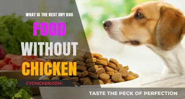 Best Dry Dog Food: Chicken-Free Options
