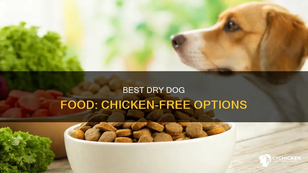 what is the best dry dog food without chicken
