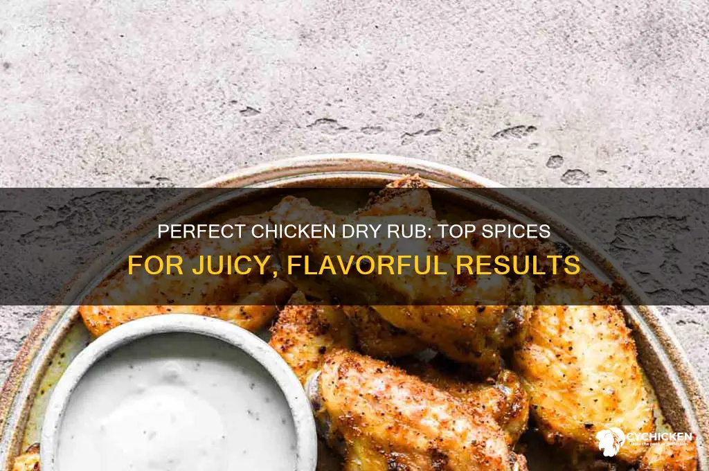what is the best dry rub for chicken