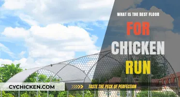 Choosing the Ideal Floor Material for Your Chicken Run