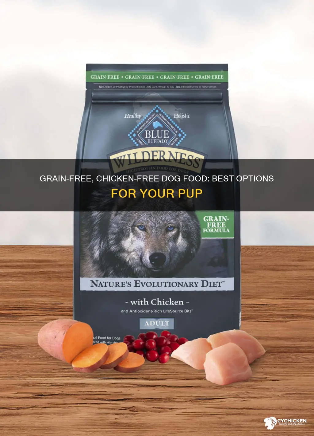 what is the best grain free chicken free dog food