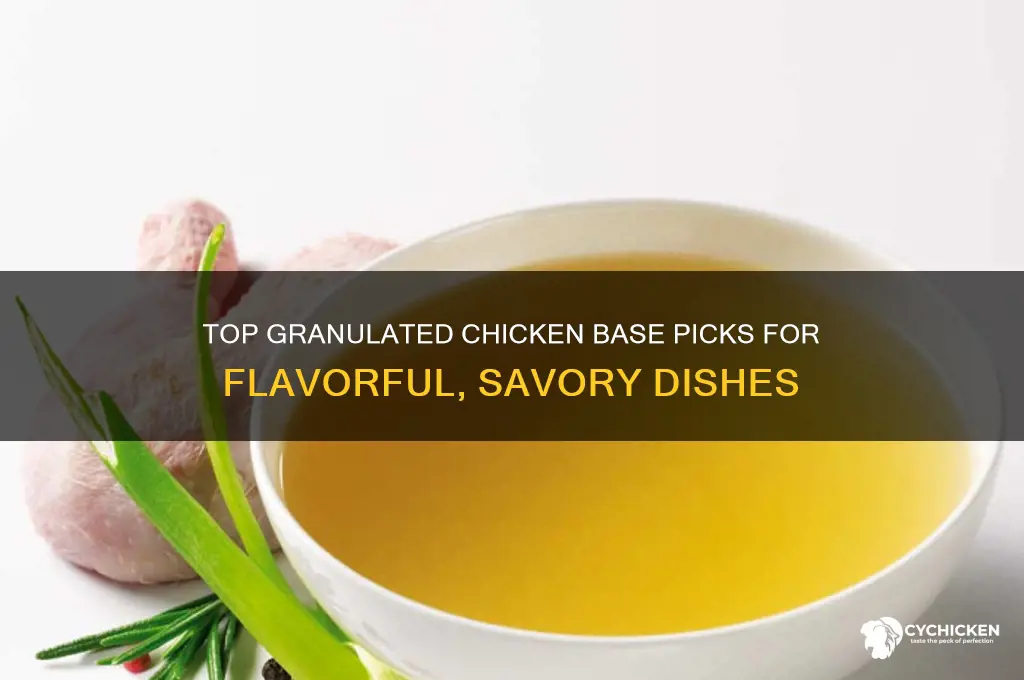 what is the best granulated chicken base to buy