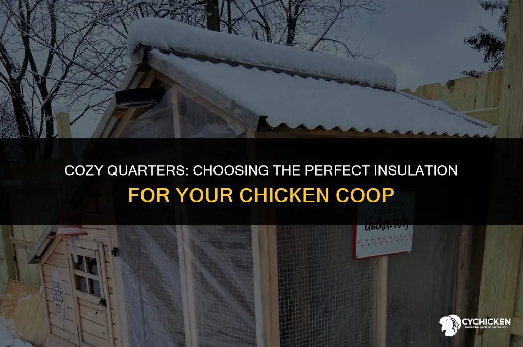 what is the best insulation for a chicken coop