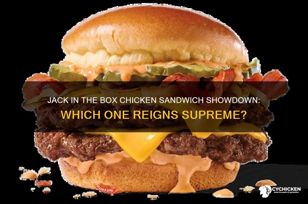 what is the best jack in the box chicken sandwich