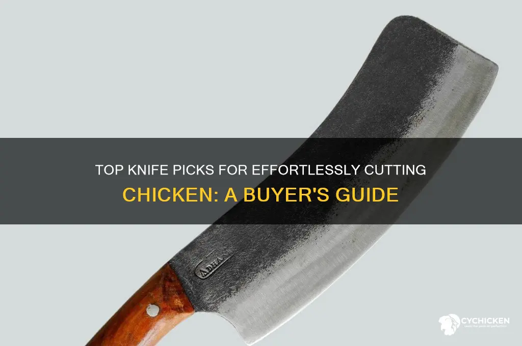 what is the best knife for cutting chicken