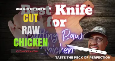Best Knives to Cut Raw Chicken