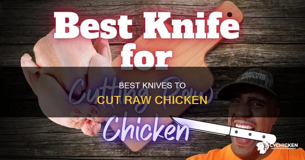 what is the best knife to cut raw chicken