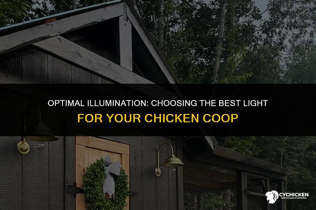 what is the best light for a chicken coop