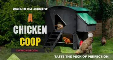 Optimal Coop Placement: A Guide to Happy Hens and Healthy Eggs