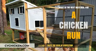 Chicken Run Materials: What's Best for Your Flock?