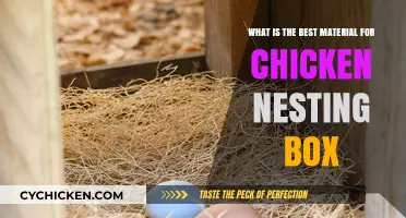 Chicken Nesting Box: Choosing the Right Material