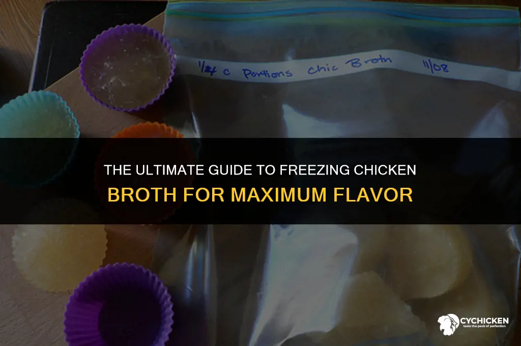 what is the best method to freeze chicken broth