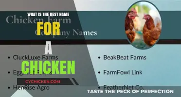 Cluck-tastic Names: Finding the Perfect Moniker for Your Feathered Friend